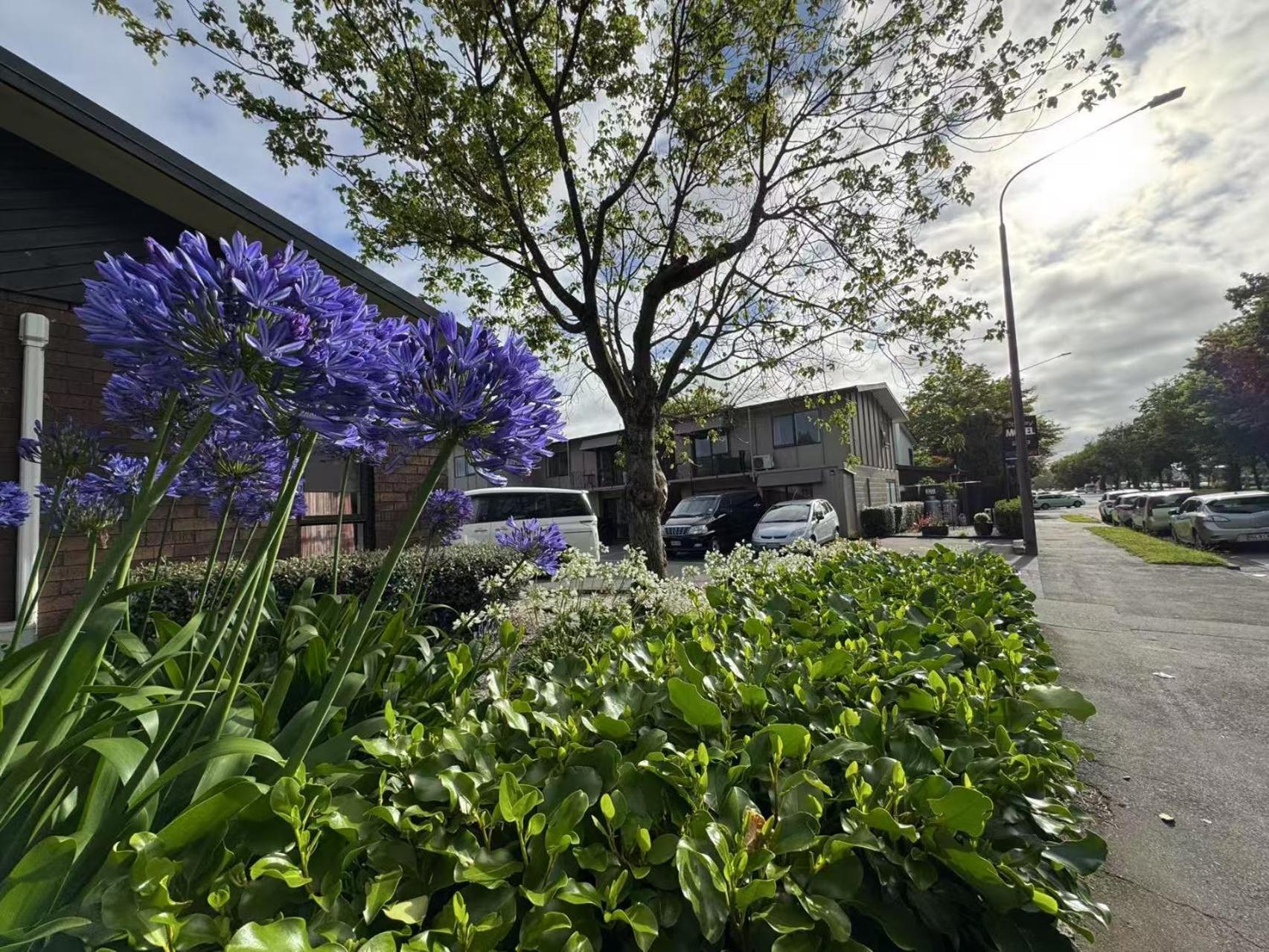 Abbey Motor Lodge Christchurch Dış mekan fotoğraf